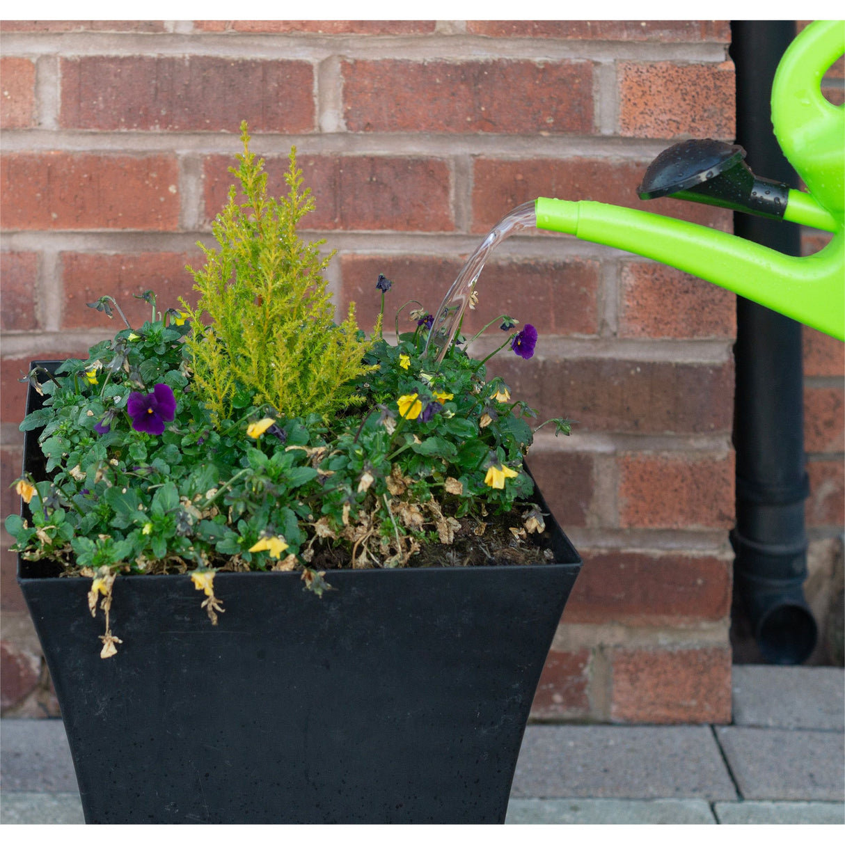 Watering Can with Sprinkler Nozzle 10L