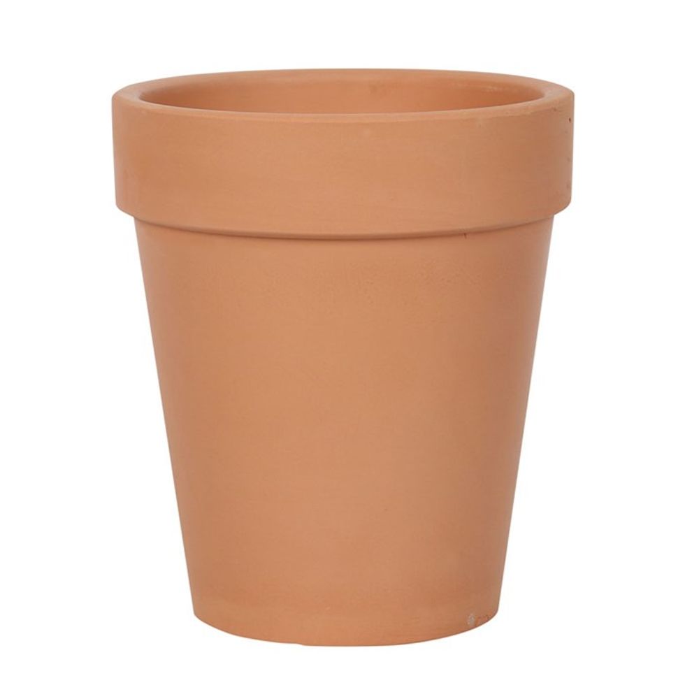 Bloom Where You Are Planted Terracotta Plant Pot